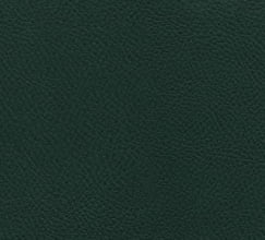 кож. зам. зеленый