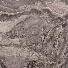 Паладина Премиум