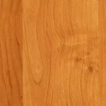 Ольха русская