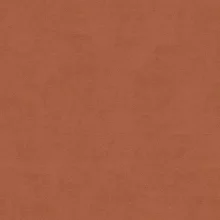 Персик (велюр)