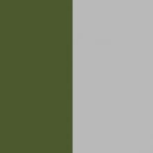 Оливковый RAL 6021/Серый RAL 7035