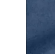 Белый/Велюр 017