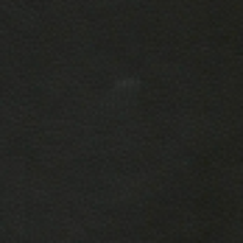 Черный Euroline 9100