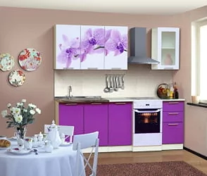 Кухня 1,6 м Орхидея