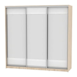 Шкаф-купе Б-230х235х60-2(ДСС-Белый-Д10Д10Д10) / B-230х235х60-2(ДСС-Белый-D10D10D10)