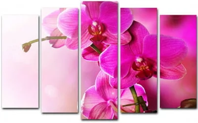 Модульная картина Топлигхт хсм ТЛ-ПМ0009 / Toplight TL-PM0009