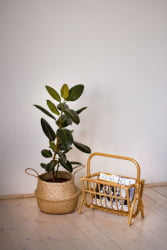 Газетница 17/13 коньяк