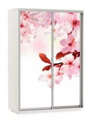 Шкаф-купе двухдверный Экспресс Дуо 1400х2200х Сакура/Белый снег / 1400х2200h