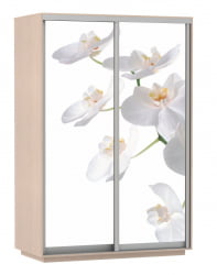 Шкаф-купе двухдверный Экспресс Дуо 1600х2400х Белая орхидея/Дуб молочный / 1600х2400h