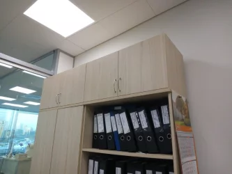 Антресоль Твин 16.13.131 Туя / Twin