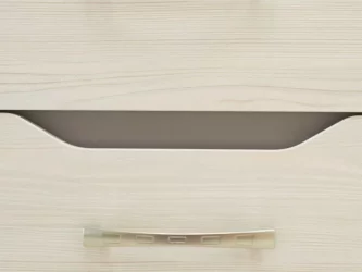 Детский шкаф Мегаполис 55.22.1