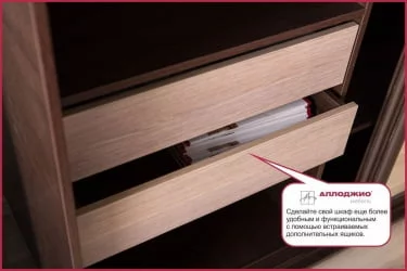 Шкаф-купе эконом Хит-23-12-77 Орхидея Ясень шимо светлый