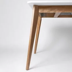 Стол обеденный Пегас Плус 120кс75 Морилка Орех Эмаль белая / Plus 120x75