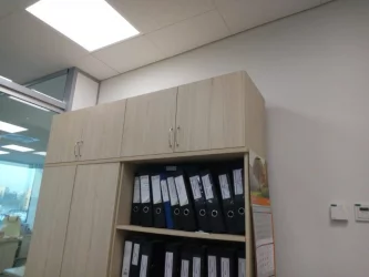 Антресоль Твин 16.13.131 Туя / Twin