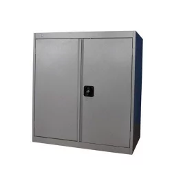 Шкаф архивный ШХА/2-850(50)