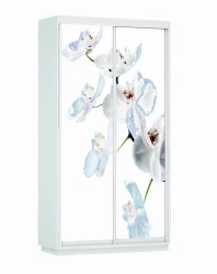 Шкаф-купе двухдверный Экспресс Хит Орхидея белая/Белый снег