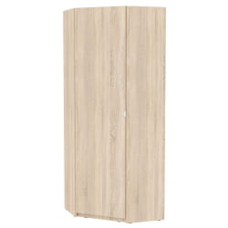 Шкаф распашный ЙР-230х884-ТР(ДСС-2) / YR-230х884-TR(ДСС-2)