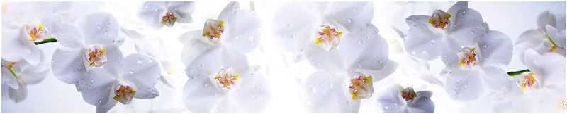 Глянцевый фартук (КОМПОЗИТ) КМ 15 / KM