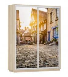 Шкаф-купе двухдверный Экспресс Дуо 1600х2200х Улица/Ясень шимо светлый / 1600х2200h