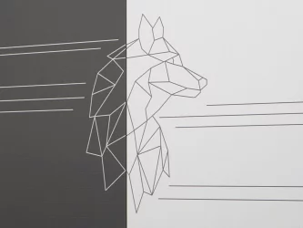 Детский шкаф Аляска 501.01