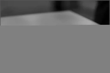 Шкаф-купе эконом Хит-23-12-77 Орхидея Ясень шимо светлый