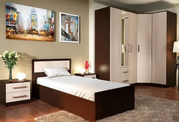 Шкаф трехдверный Фиеста 05