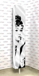 Зеркальный поворотный шкаф с принтом Зум Шелф Арт Венге