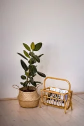 Газетница 17/13 молочный шоколад