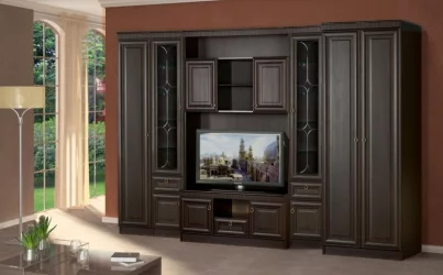 Шкаф в гостиную 604  Денвер темный