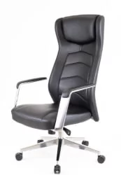 Кресло для руководителя Еверпроф Парламент Кожа Черный / Everprof Parlament