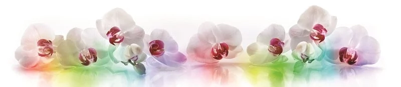 Глянцевый фартук (КОМПОЗИТ) КМ 229 / KM