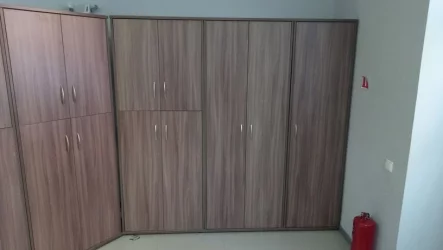 Гардероб ГБ-2 Ясень Шимо