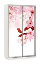 Шкаф-купе двухдверный Экспресс Дуо 1200х2400х Сакура/Белый снег / 1200х2400h