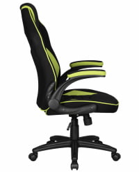 Кресло игровое ДОБРИН РИCК (черно-светло-зеленый) / DOBRIN RICK