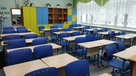 Стол ученический 1-местный регулируемый (рост 5-7) 700х500 мм ЛДСП Бук/Металл Серый