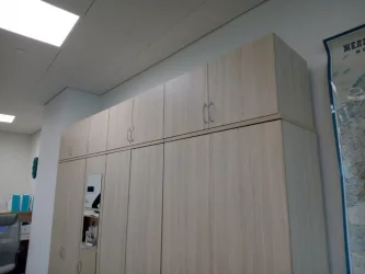 Антресоль Твин 16.13.131 Туя / Twin