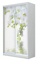 Шкаф-купе Хит-24-14-77 Орхидея Белая шагрень