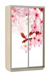 Шкаф-купе с фотопечатью Экспресс Дуо 1200х2400х Сакура/Ясень шимо светлый / 1200х2400h