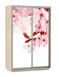 Шкаф-купе двухдверный Экспресс Дуо 1400х2200х Сакура/Ясень шимо светлый / 1400х2200h