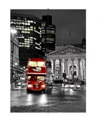 Шкаф-купе двухдверный Экспресс Хит Лондон/Дуб сонома