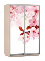 Шкаф-купе двухдверный Экспресс Дуо 1400х2200х Сакура/Дуб молочный / 1400х2200h