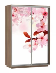 Шкаф-купе двухдверный Экспресс Дуо 1600х2400х Сакура/Ясень шимо тёмный / 1600х2400h