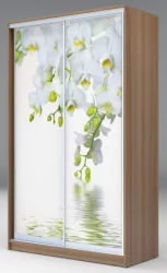 Шкаф-купе Хит-24-12-77 Орхидея Ясень шимо темный