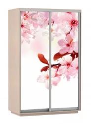 Шкаф-купе двухдверный Экспресс Дуо 1600х2400х Сакура/Дуб молочный / 1600х2400h