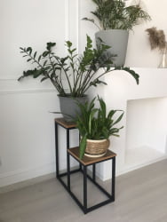 Подставка 600*300*620мм Таксония