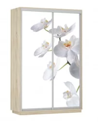 Шкаф-купе двухдверный Экспресс Дуо 1600х2400х Белая орхидея/Дуб сонома / 1600х2400h