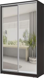 Шкаф-купе эконом Хит-24-14-55 Аруба Венге