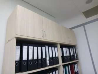 Антресоль Твин 16.13.131 Туя / Twin