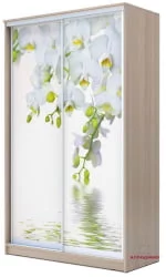 Шкаф-купе эконом Хит-24-14-77 Орхидея Ясень шимо светлый