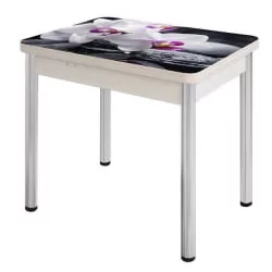 Стол поворотно-раскладной 1,2 Ника, СТЕКЛО, опоры Д50 круглые ХРОМ, Беленый дуб/Р041 / D50 дуб/R041